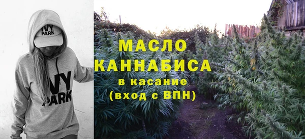молекула духа Карпинск