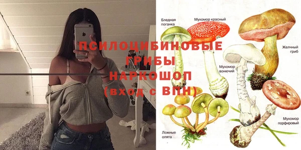 молекула духа Карпинск