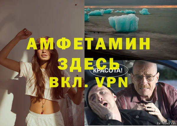 мет Касимов