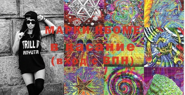 молекула духа Карпинск