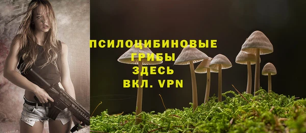 МДПВ Карталы