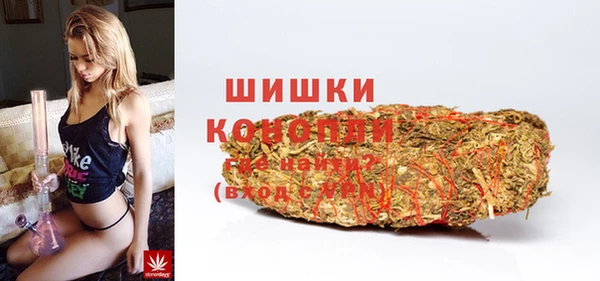 эйфоретик Каменногорск