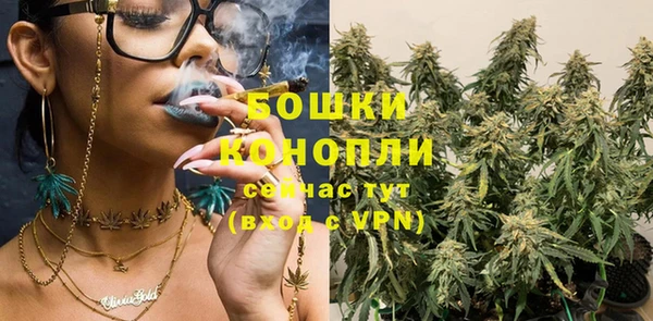 молекула духа Карпинск