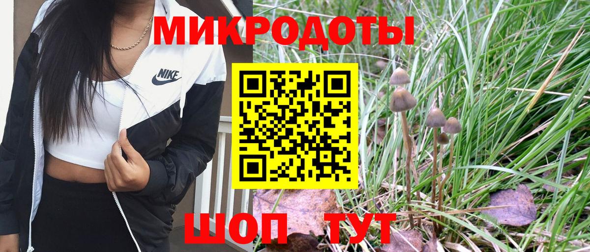 Псилоцибиновые грибы Psilocybine cubensis Кстово