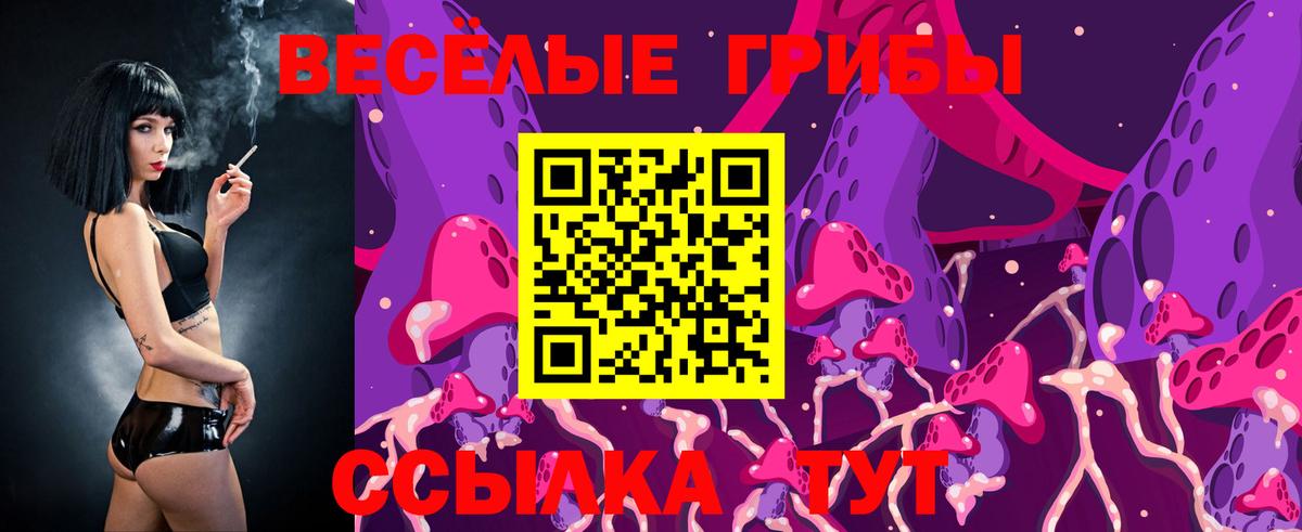 Галлюциногенные грибы Cubensis  Вход с VPN  Кстово 